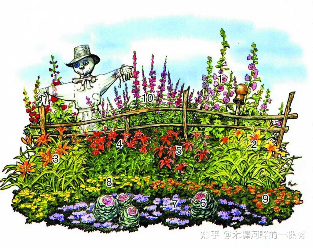 花境植物配置平立面手绘解析