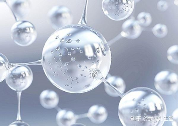 小肽中国从生物活性肽弱国到生物活性肽强国