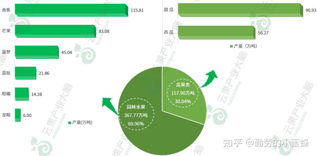 云南香蕉批发价格