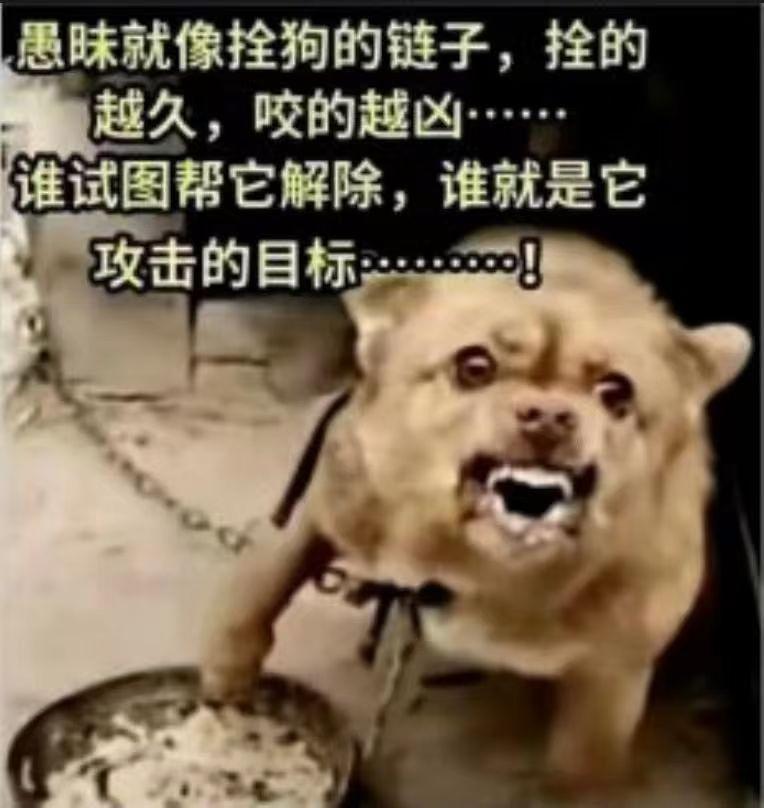 查看图片