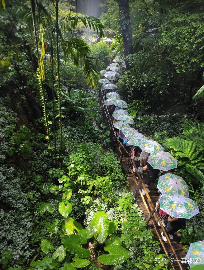 深圳青青世界有什么值得推荐的游玩攻略和体验分享? - 知乎