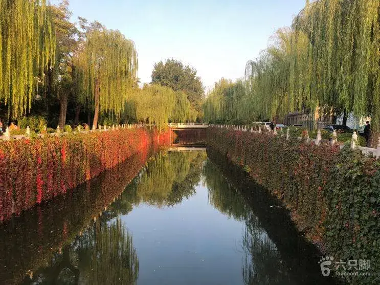 为什么要这么对待清华大学校园内的万泉河