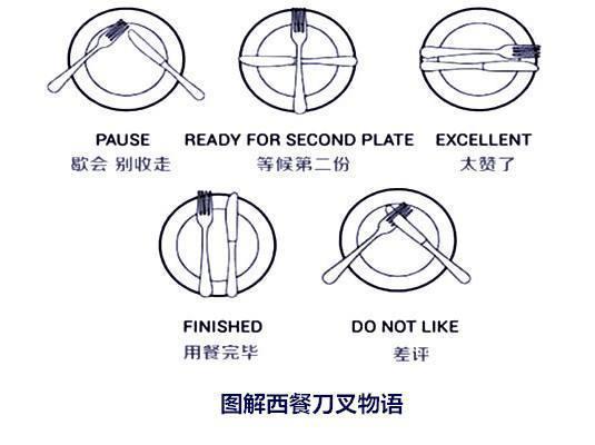 帝牛牛排的西餐礼仪你知道吗? - 知乎