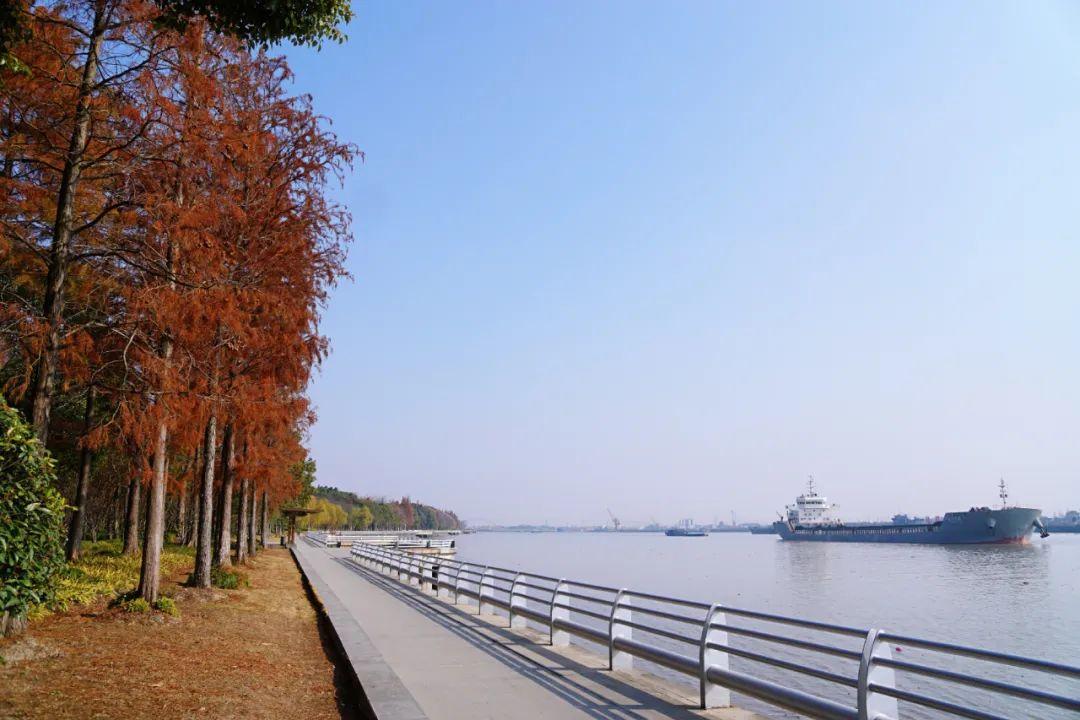 浦江第一湾公园 - 知乎