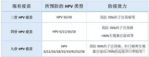 二價四價九價hpv疫苗有什麼區別為什麼那麼多人選擇九價hpv疫苗