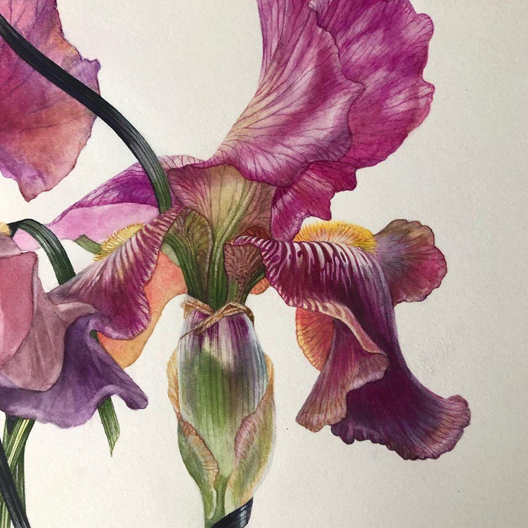 堪比照片的超震撼写实水彩英国画家billy Showell的小贴士 知乎